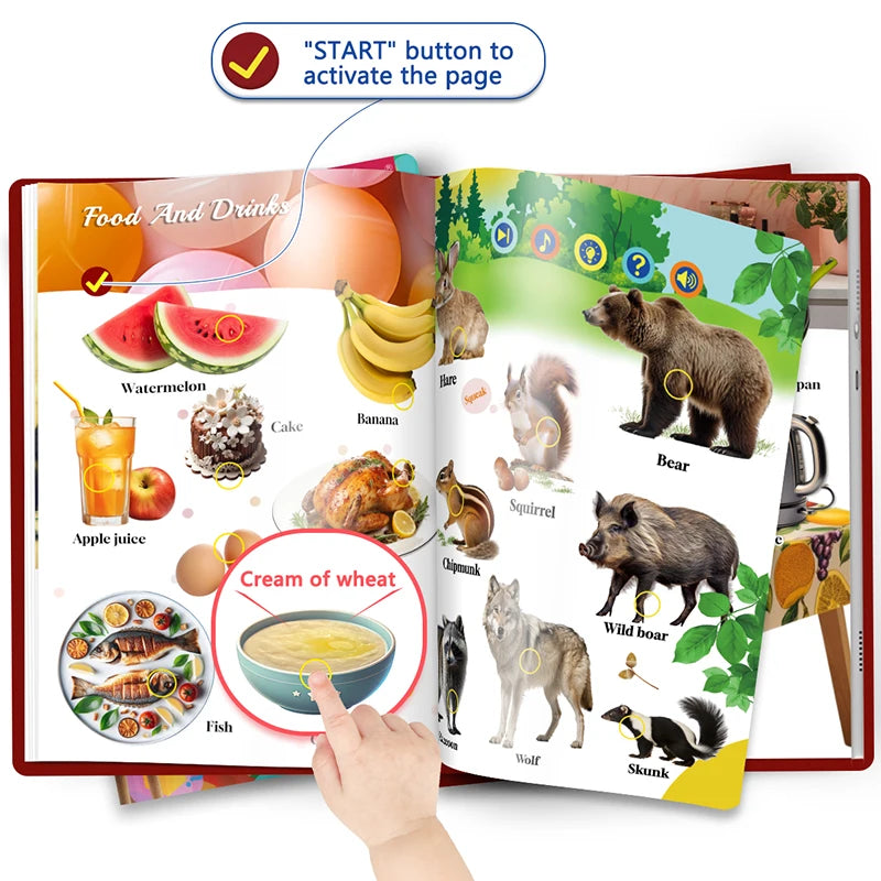 The World Around You — Interactive English Sound Books for Children